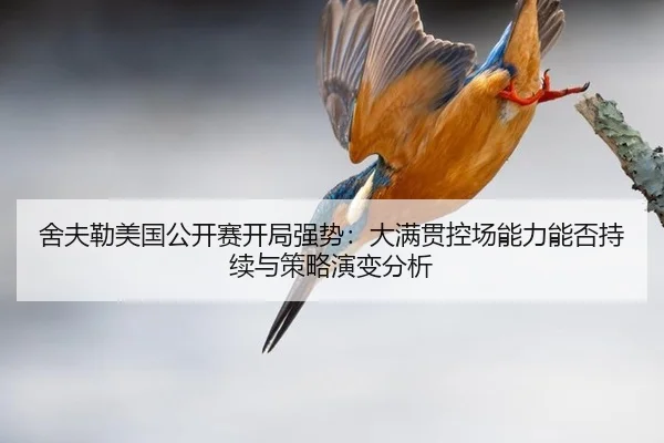 she-fu-lei-mei-guo-gong-kai-sai-kai-ju-qiang-shi-da-man-guan-kong-chang-neng-li-neng-fou-chi-xu-yu-ce-lve-yan-bian-fen-1-553.jpg